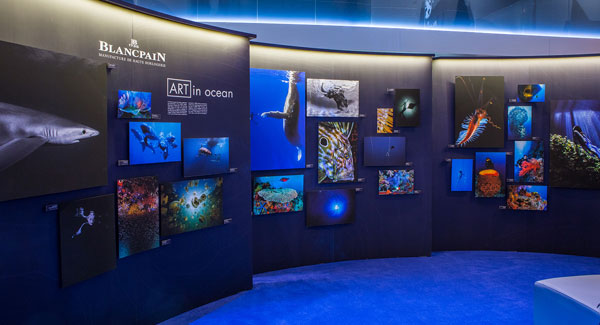 Blancpain 寶珀隆重呈現(xiàn)“心系海洋”專(zhuān)題展